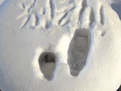 -大赏足道(全运店)