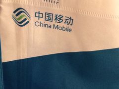 -中国移动(红松路店)