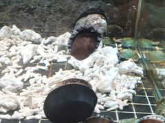 -璞御·海鲜·雪花牛肉局(宾水西道店)