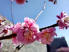 -北京明城墙遗址公园