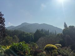 -深圳仙湖植物园