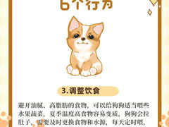 -瑞派申生动物医院·24H夜诊·国际动物医疗中心·骨外科(吴中路店)