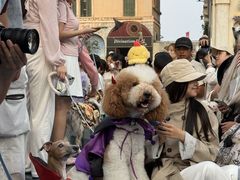 -华谊兄弟（长沙）电影小镇