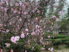 -宜兴龙背山森林公园
