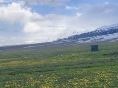 -新疆那拉提国家旅游度假区