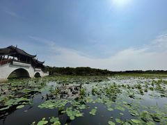 -上海海湾国家森林公园