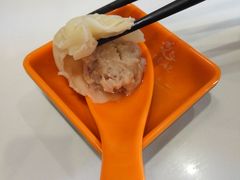 鲜肉小笼-大龙汤包