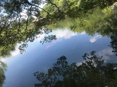 -西湖外事游船(花港观鱼码头)