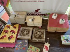 -大象粑粑造纸公园