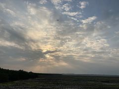 -东寨港红树林旅游区