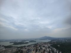 -紫峰大厦