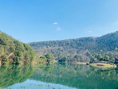 -桃花岭景区