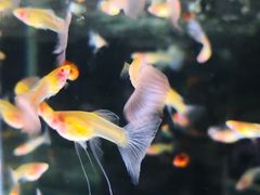 -海上海弘基休闲广场