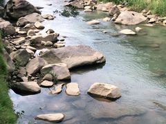 -四会奇石河风景区