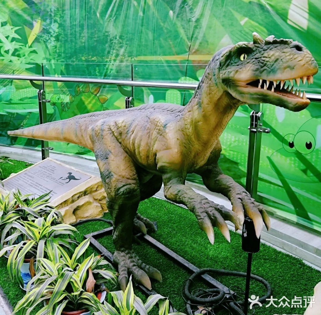 恐龙🦕来啦，有你最喜欢的恐龙🦖吗～