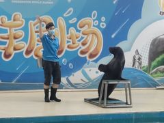 -厦门海底世界