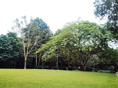 -中国科学院西双版纳热带植物园