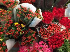 -双季花艺园艺市场(浦东店)