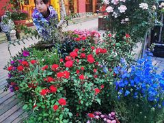 -萤火虫咖啡(后海店)
