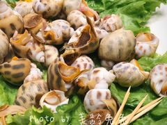 海螺-骏莱海鲜鱼港(五角场店)