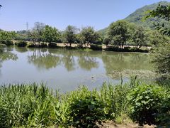 -八卦田遗址公园