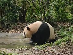 -宸玥酒店(成都西南财大地铁站店)