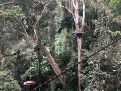 -清迈丛林飞跃 JungleFlight