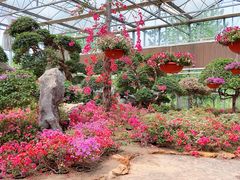 -南通洲际绿博园