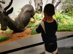 -北京周口店北京人遗址博物馆