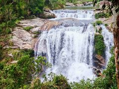 -海南热带雨林国家公园吊罗山景区