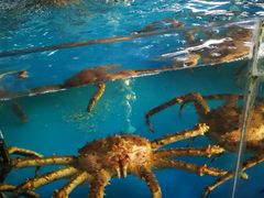 -清水湾3号(东方小周海鲜店)