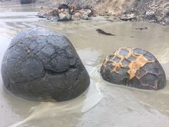 -摩拉基大圆石