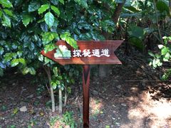 -福建鲤鱼洲酒店