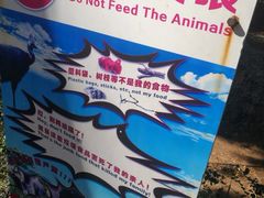-昆明动物园