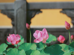 -超山青莲寺