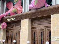 -帕帕拉兹宠物(亚洲旗舰店)