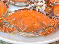 梭子蟹-杏花村大酒店(延寿路店)