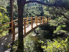 -九龙池景区