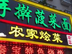 -秦君宝手擀菠菜面(金花路店)
