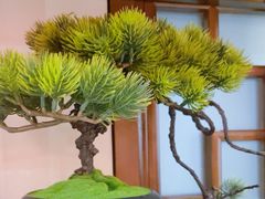 -梁溪河畔·吉府花园(南长街南下塘店)