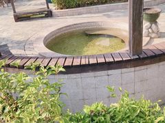 -河源万绿湖美思威尔顿酒店