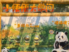 -成都动物园