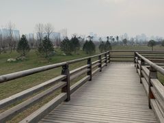 -汉长安城未央宫国家考古遗址公园