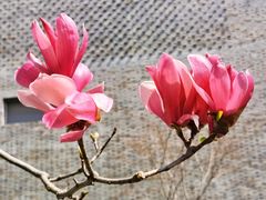 -闵行博物馆