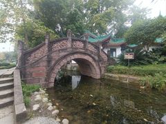 -桂湖森林公园