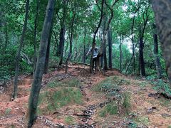 -火炉山森林公园