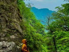 -洛阳白云山景区