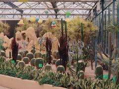 -南宫五洲植物乐园