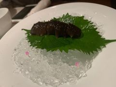 -觀芷隐轩