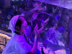 -沈阳海洋探索中心